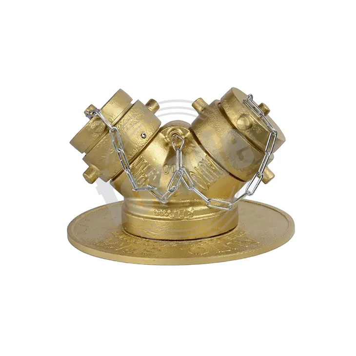 2 Way Fire Department Connection