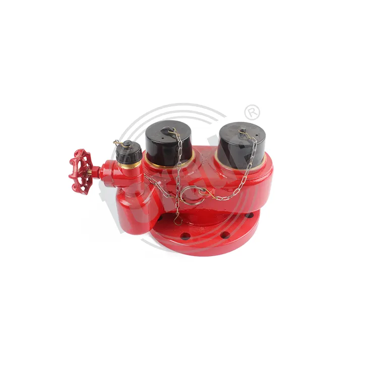 Fire Breeching Inlet 2-Way