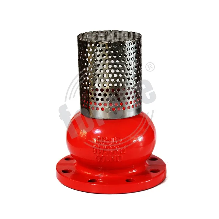 Flange End Foot Valve With Strainer