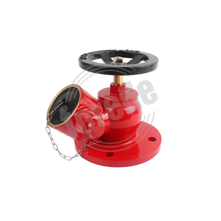 Flange Landing Valve