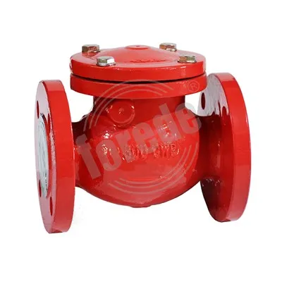Flens Einde Swing Check Valve